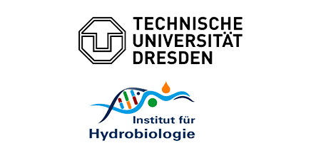 logo_TUD-IFH