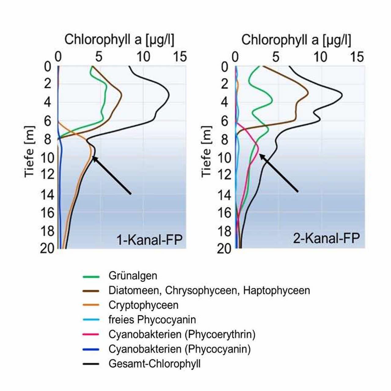 ATT_Fort-u-Weiterbildungen_Phytoplanktonringversuche