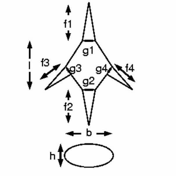 ATT_Fort-u-Weiterbildungen_Planktonbestimmungskurs